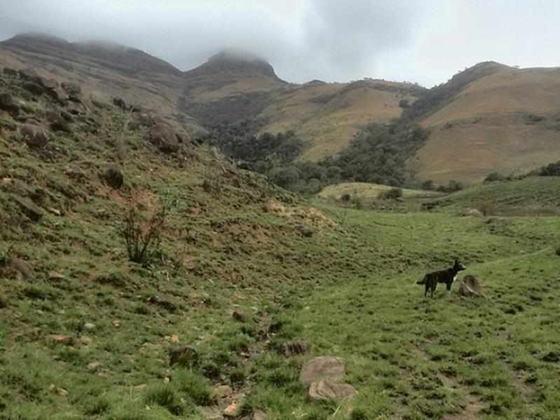 Mountain Park Hotel Nsimbini Buitenkant foto